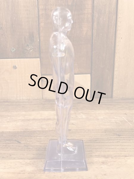 メルクアンドカンパニー ビンテージ ディスプレイフィギュア 企業キャラクター 人体模型 60年代