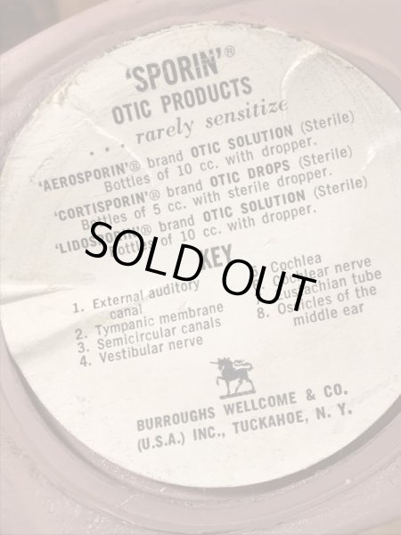 スポリン　ヴィンテージ　人体模型　ディスプレイフィギュア　60年代