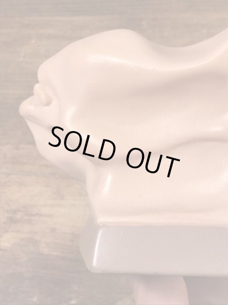 アナトミー　ビンテージ　医療ディスプレイ　アドバタイジング　企業物　60’s