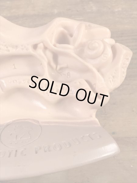 アナトミー　ビンテージ　医療ディスプレイ　アドバタイジング　企業物　60’s