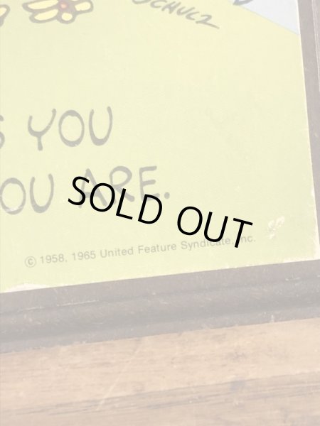 スヌーピー　ヴィンテージ　壁掛け　ウッドストック　70’s