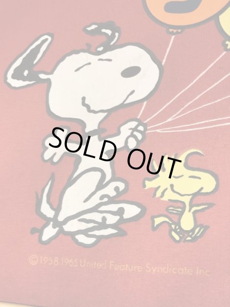 スヌーピー ヴィンテージ スーツケース ウッドストック Aviva