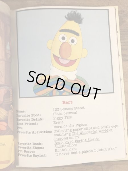 80’sのセサミストリートのヴィンテージのハードカバーブック