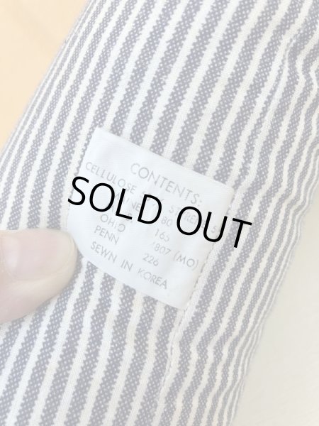 ヒッコリーストライプの服を着たビンテージの犬のビッ