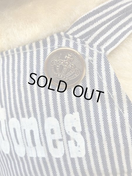 ヒッコリーストライプの服を着たビンテージの犬のビッ