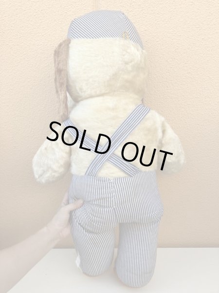 ヒッコリーストライプの服を着たビンテージの犬のビッ