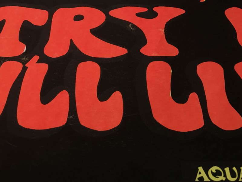 宅配宅配レア スケボー ビンテージ ポスターサイケ 70s ブラックライト