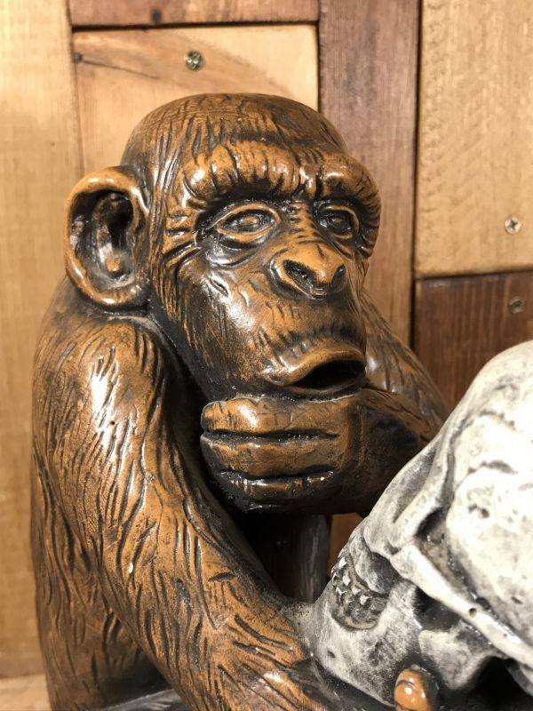 Darwin Monkey with Skull Statue ダーウィン ビンテージ スタチュー