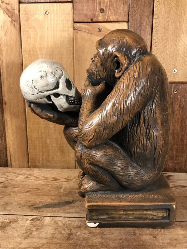 Darwin Monkey with Skull Statue ダーウィン ビンテージ スタチュー