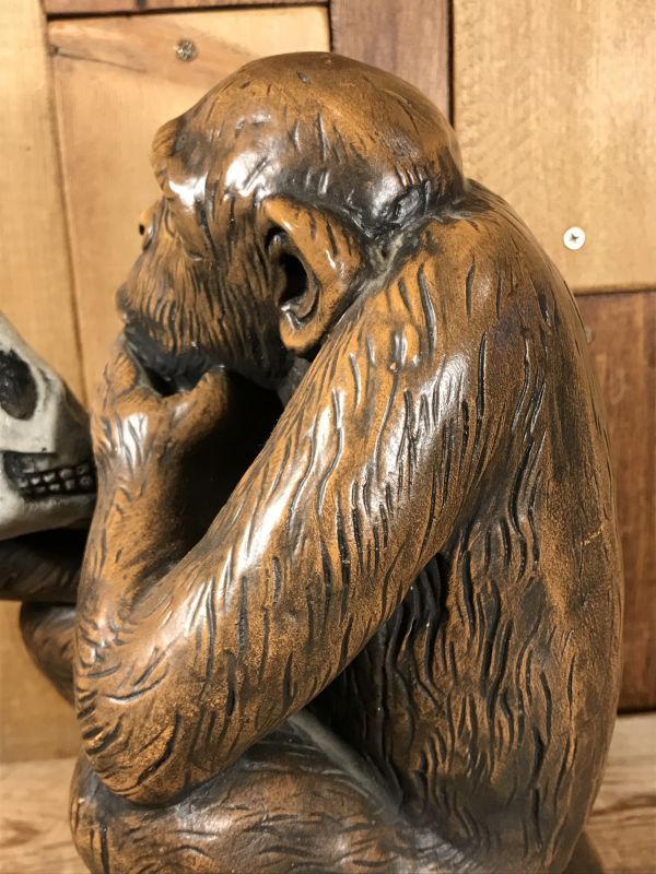 Darwin Monkey with Skull Statue ダーウィン ビンテージ スタチュー