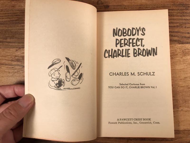 Snoopy Peanuts Gang Nobodys Perfectcharlie Brown Comic - 