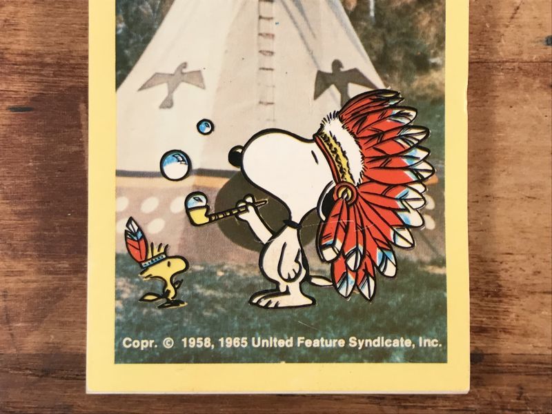 Plymouth Peanuts Snoopy & Woodstock “Indian” Memo Pad スヌーピー