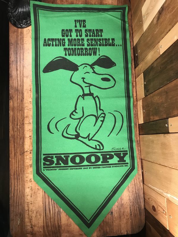 Peanuts Snoopy “I've Got To Start...” Felt Banner スヌーピー