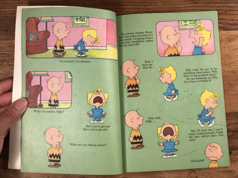 Peanuts Snoopy “It's A Mystery, Charlie Brown” Picture Book