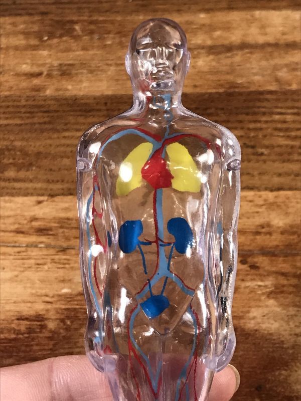Merck & Co. “Diuril” Chlorothiazide Display Figure メルク