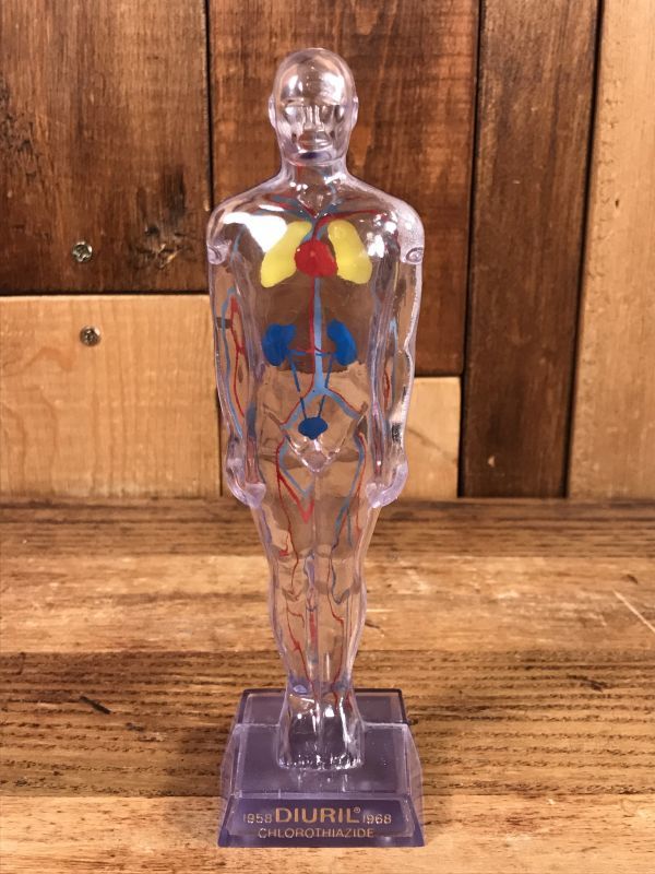 Merck & Co. “Diuril” Chlorothiazide Display Figure メルク