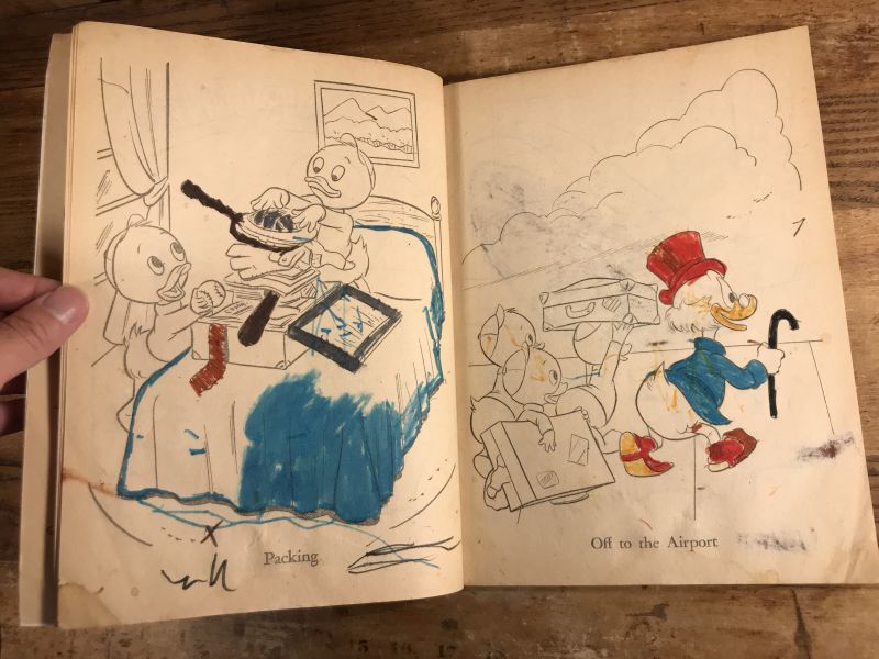 Florida Walt Disney World Coloring Book ディズニーワールド